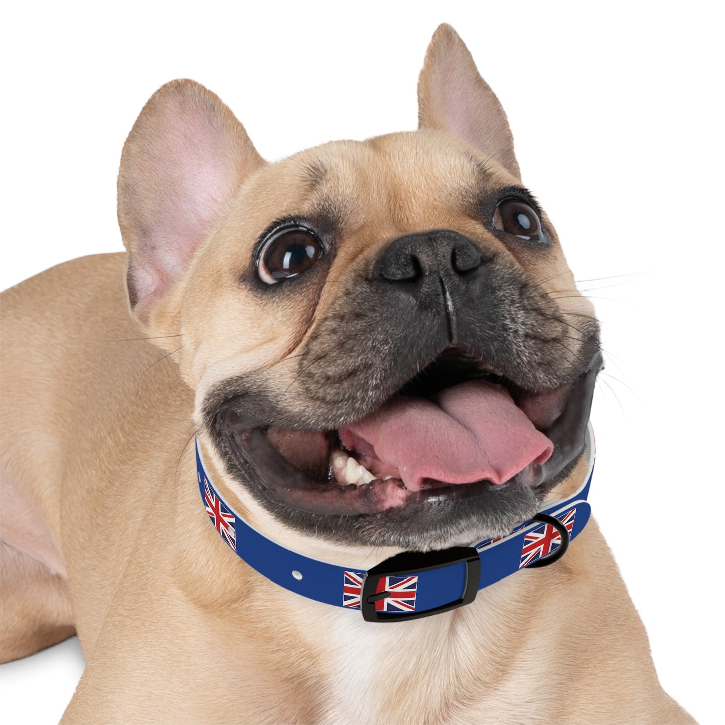 Union Jack Dog Collar