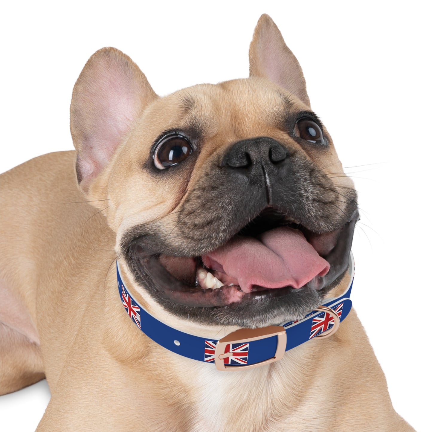 Union Jack Dog Collar